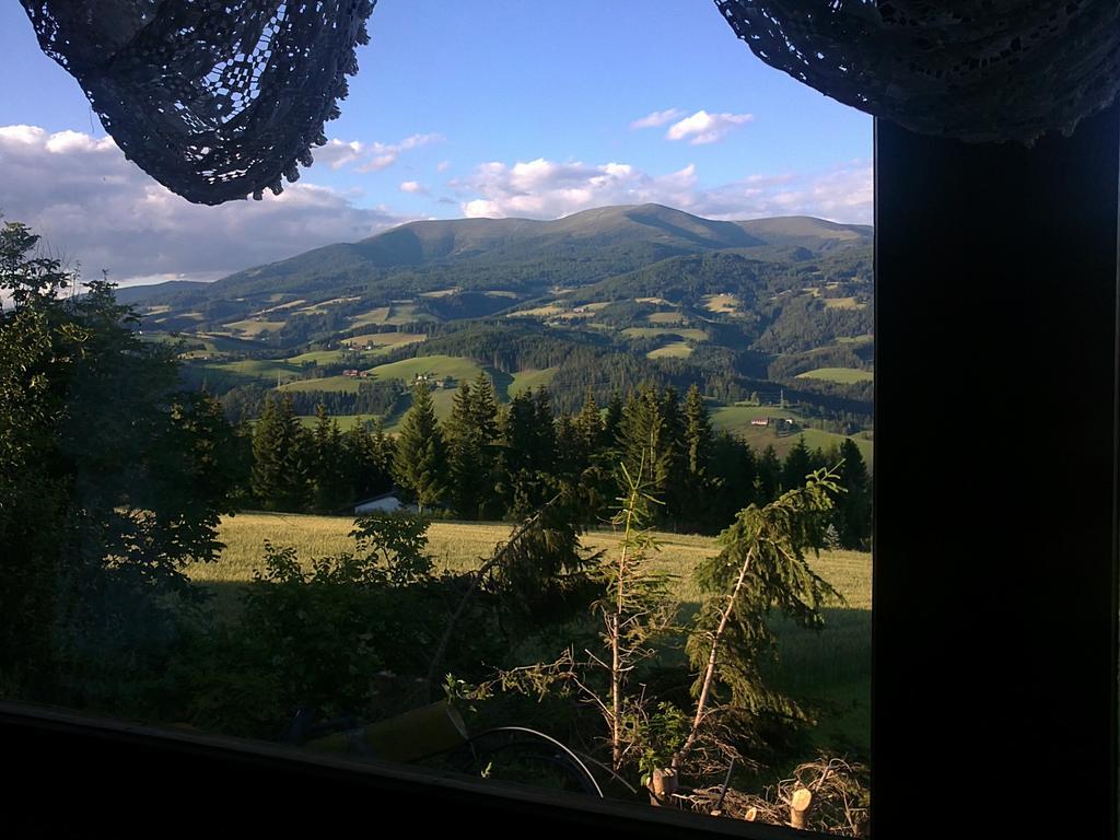 Ferienwohnung - Apartement - Hotel Klippitz Nordost Reichenfels Rum bild