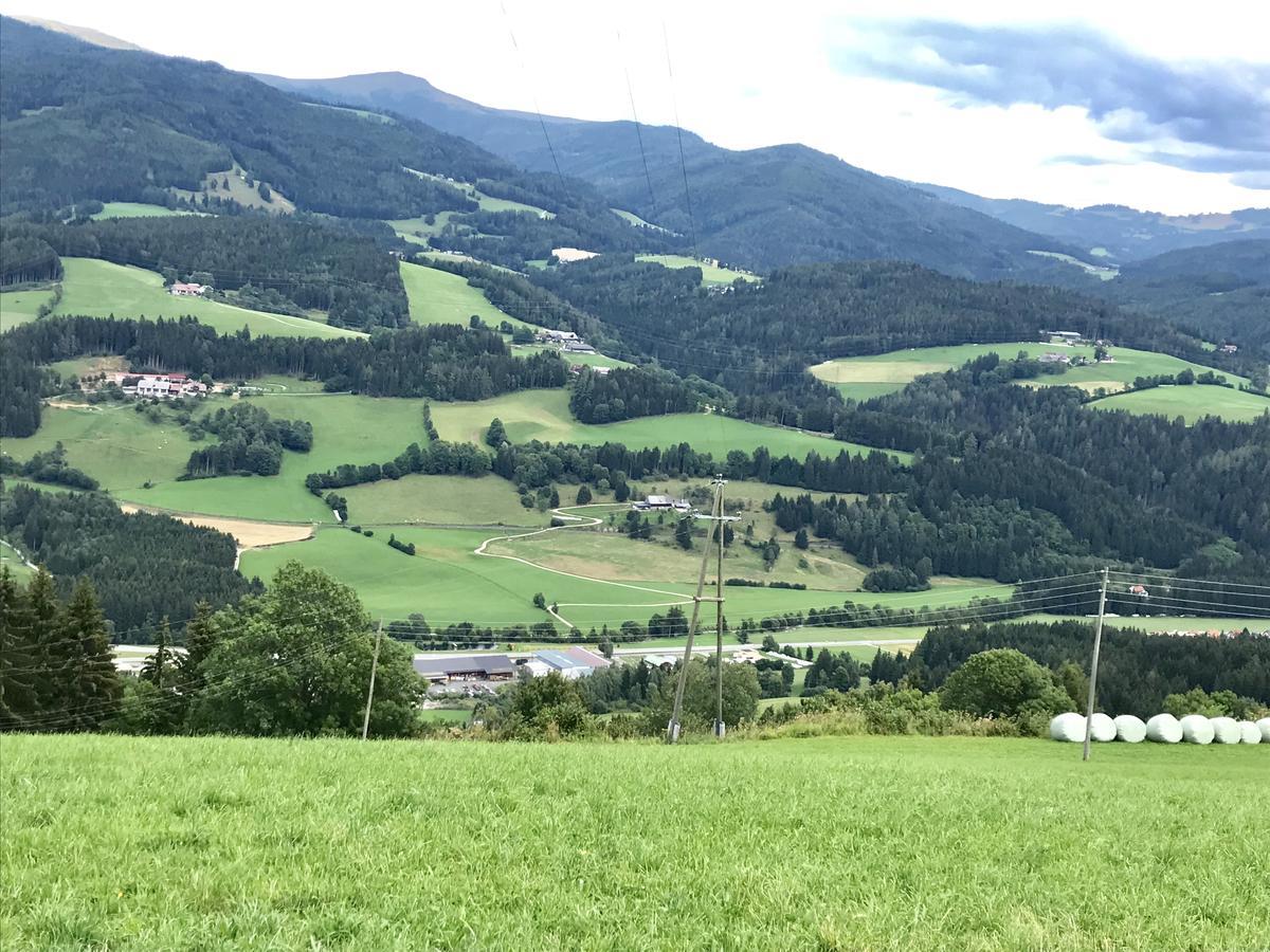 Ferienwohnung - Apartement - Hotel Klippitz Nordost Reichenfels Exteriör bild